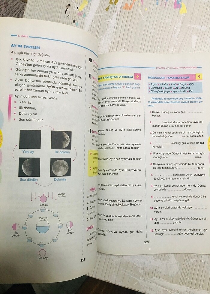 6. Sınıf Tüm Dersler - Görsel 4