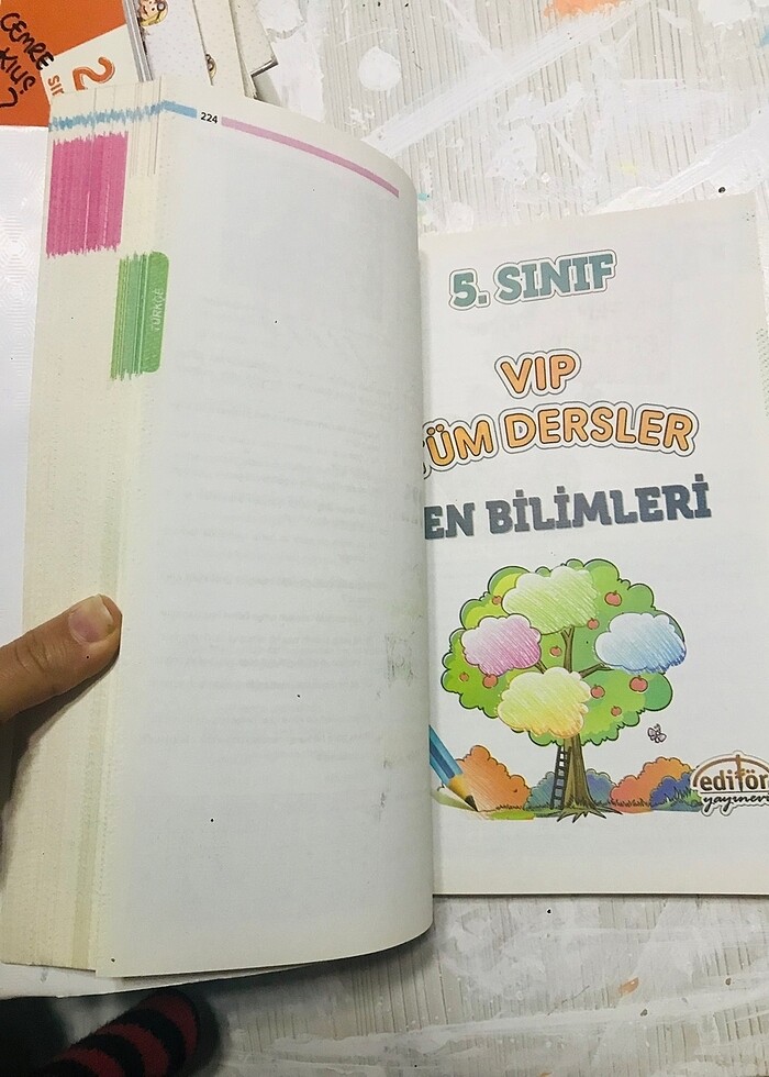 5. Sınıf tüm dersler - Görsel 5