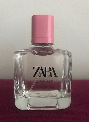 Zara orchid 100 ml