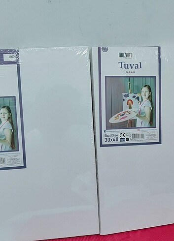 Diğer Tuval 2 adet