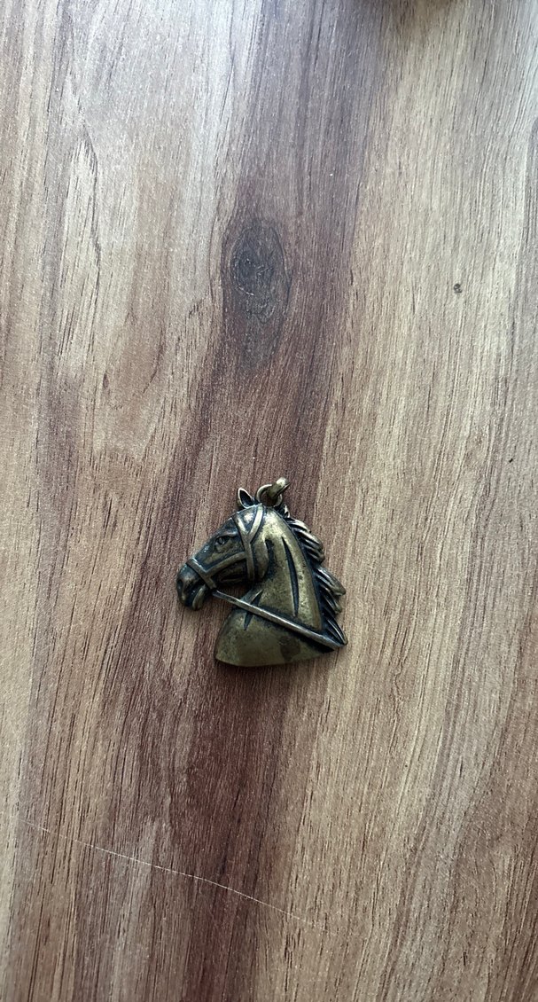 Kahverengi Tokalı At Figürlü Kadın Charm - Görsel 3