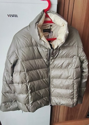 Vakko Kaz Tuyu Mont