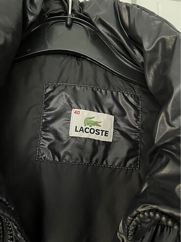l Beden Lacoste mont