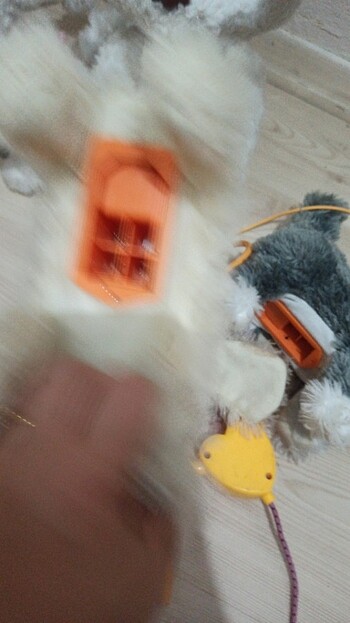 Beden Renk Köpekcik