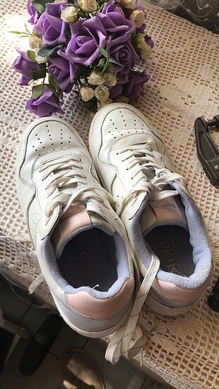 Stradivarius spr