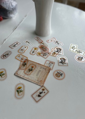 Scrapbook-Bej Doğal Bitki şeffaf sticker - Görsel 2