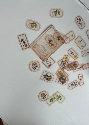 Scrapbook-Bej Doğal Bitki şeffaf sticker - Görsel 3