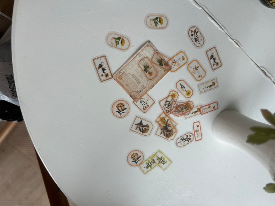 Scrapbook-Bej Doğal Bitki şeffaf sticker - Görsel 3