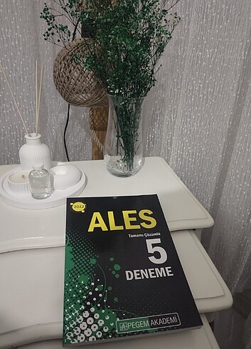 ALES denemesi 