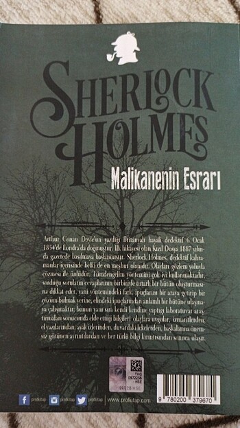  Sherlock Holmes, Malikanenin Esrarı