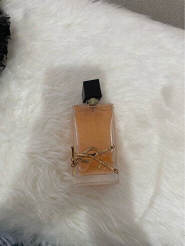 Diğer YSL libre