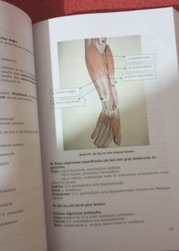 İnsan Anatomisi Kitabı - Prof. Dr. Hulki Başaloğlu - Görsel 3