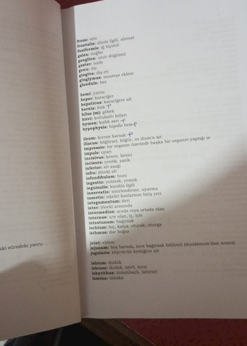 İnsan Anatomisi Kitabı - Prof. Dr. Hulki Başaloğlu - Görsel 5