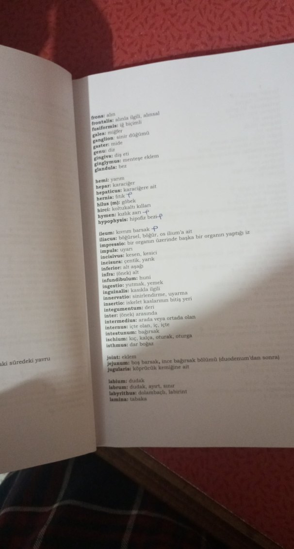 İnsan Anatomisi Kitabı - Prof. Dr. Hulki Başaloğlu - Görsel 5