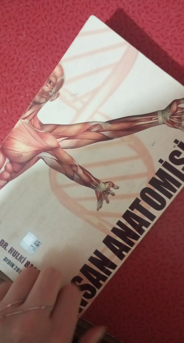 İnsan Anatomisi Kitabı - Prof. Dr. Hulki Başaloğlu - Görsel 2