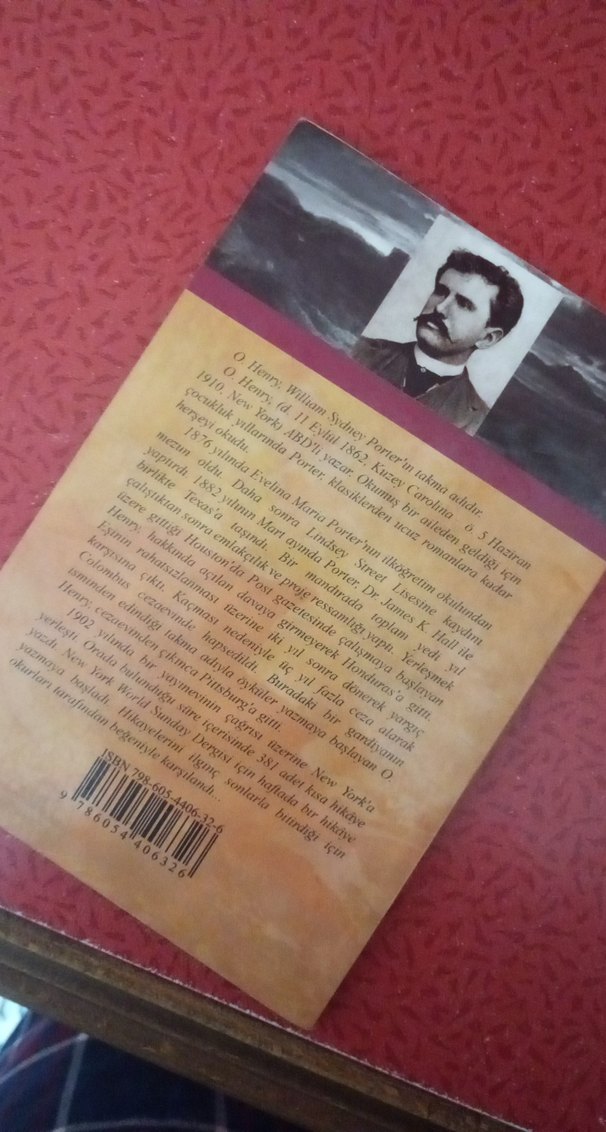 Son Yaprak - O. Henry - Görsel 2