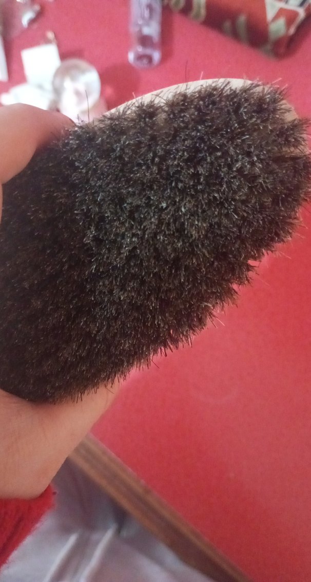 Kahverengi at kılı fırrçası - Görsel 5