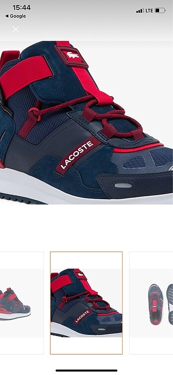 43 Beden Lacoste