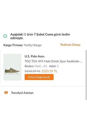 U.s polo assn haki renk erkek ayakkabı