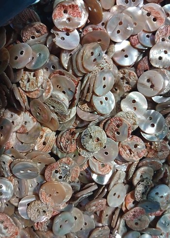 Düğme sedef 100 adet 1 cm