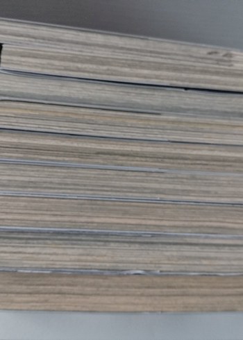 Kara Kahya Kuroshitsuji Manga Serisi 9 Cilt çizgi roman - Görsel 6