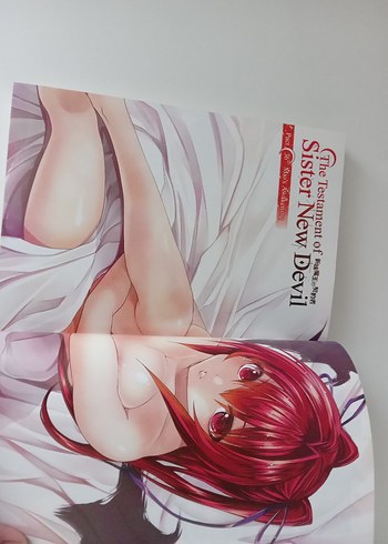 The Testament of Sister New Devil Cilt 9 manga çizgi roman