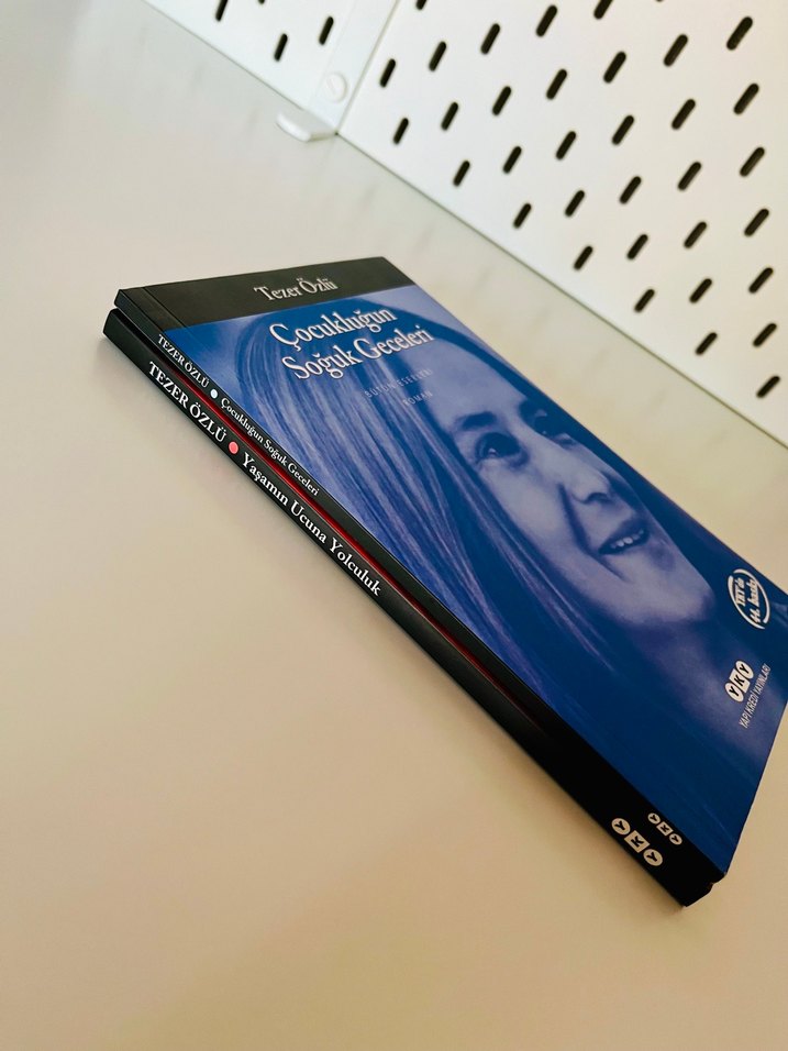 Tezer Özlü Biyografi Kitapları - Görsel 2