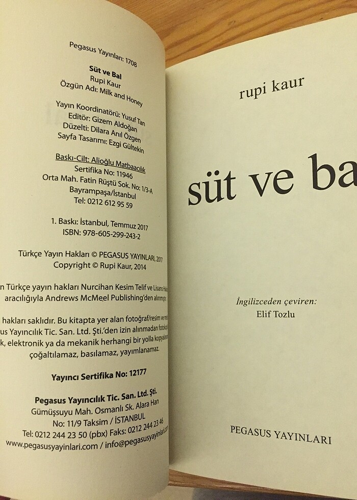 Süt ve Bal Rupi Kaur birinci baskı - Görsel 3