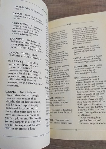 The Complete Book of Dreams - Edwin Raphael - Görsel 3