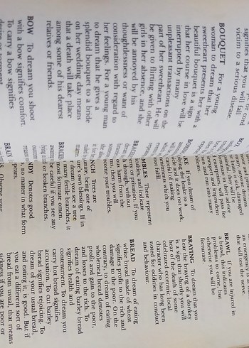 The Complete Book of Dreams - Edwin Raphael - Görsel 4