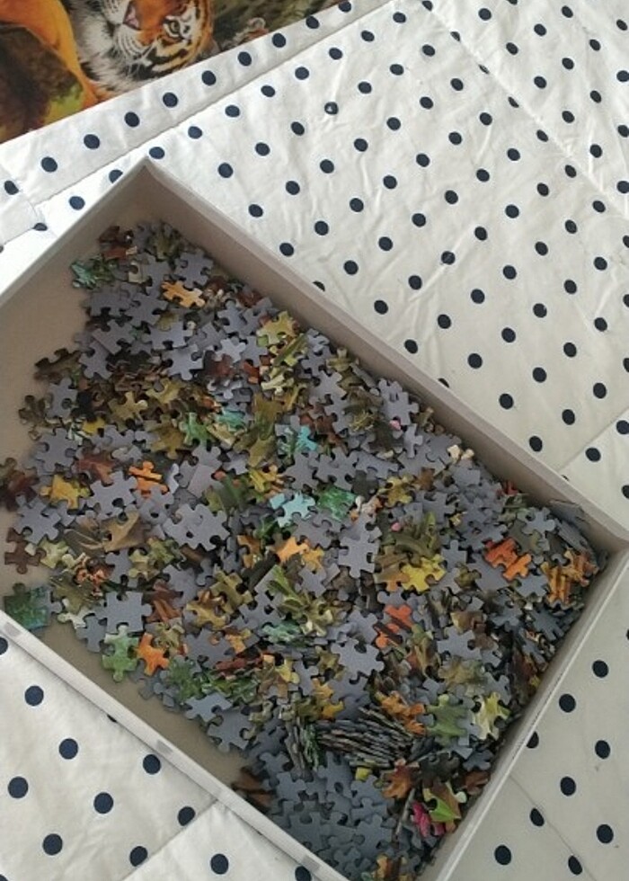 Puzzle 1000 - Görsel 2