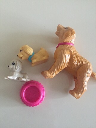  Beden Barbie köpekleri