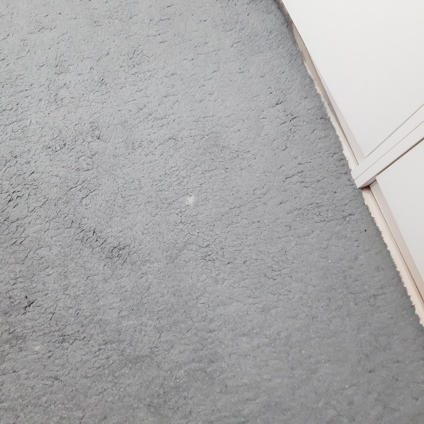 Gri Düz Yumuşak Halı - Görsel 2