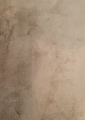 peluş hali - Görsel 2