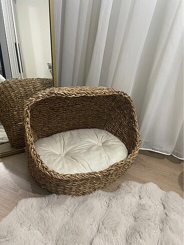 kedi evi