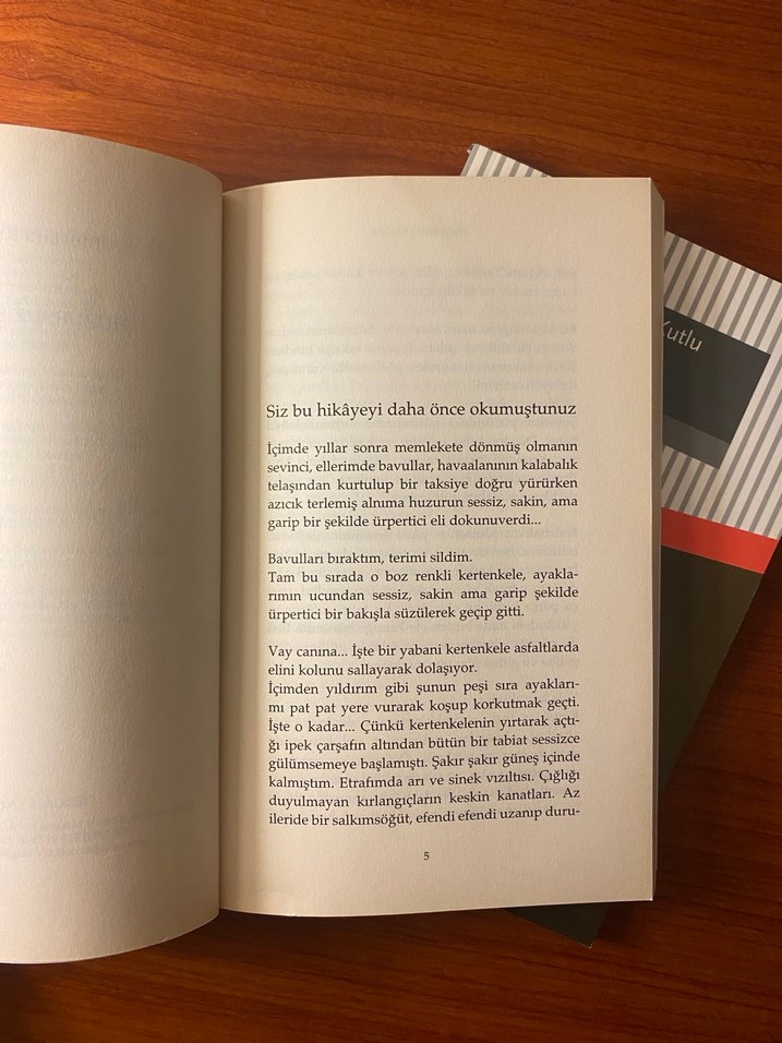 Mustafa Kutlu- Huzursuz Bacak & Uzun Hikaye - Görsel 3