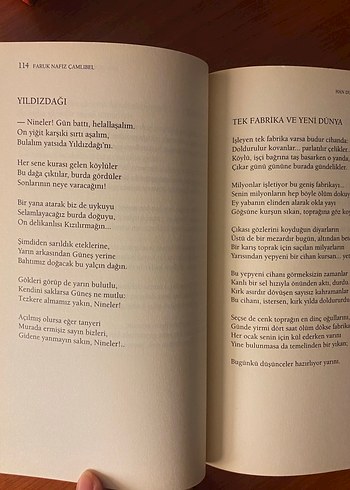 Han Duvarları - Faruk Nafiz Çamlıbel - Görsel 8