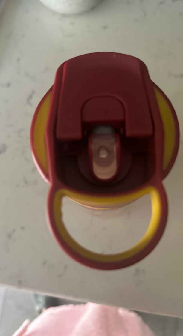 Harry Potter Gryffindor su matarası - Görsel 3