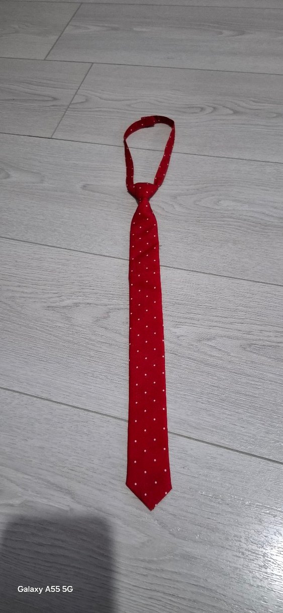 Kırmızı Puantiyeli Erkek Kravat - Görsel 2