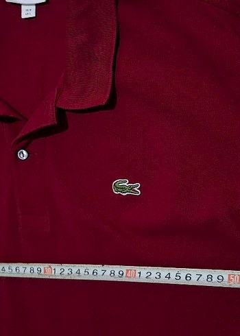 Bordo Erkek Polo Yaka Uzun Kollu Tişört - Görsel 4