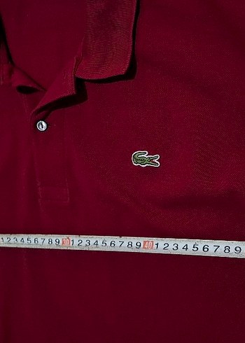 Bordo Erkek Polo Yaka Uzun Kollu Tişört - Görsel 8