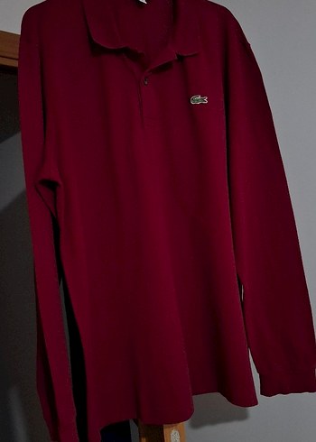 Lacoste l