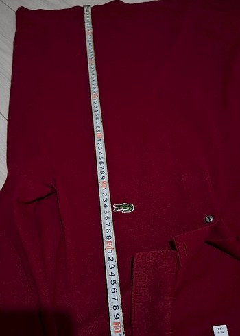 Bordo Erkek Polo Yaka Uzun Kollu Tişört - Görsel 9