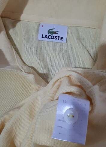 Lacoste #LACOSTE MARKA LACOST 