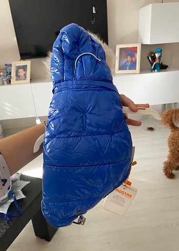 Parlak Mavi Kürklü Sokak Stili Köpek Montu - Görsel 3