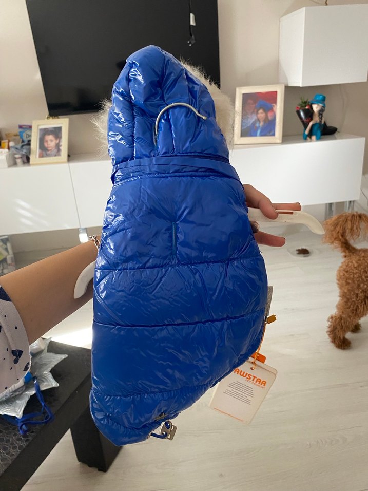 Parlak Mavi Kürklü Sokak Stili Köpek Montu - Görsel 3