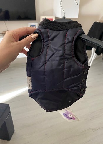 Siyah Fermuarlı Sokak Stili Köpek Montu - Görsel 2