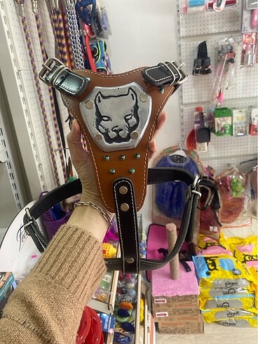 Köpek göğüs tasma