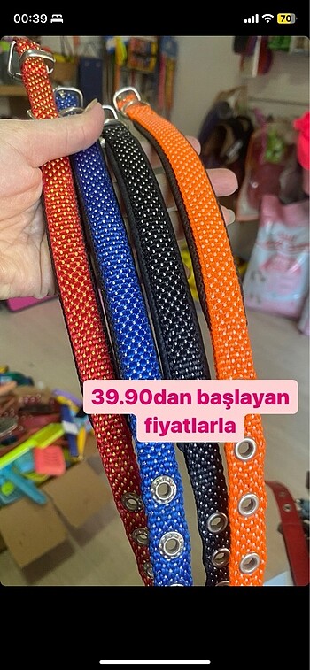 Boyun tasma