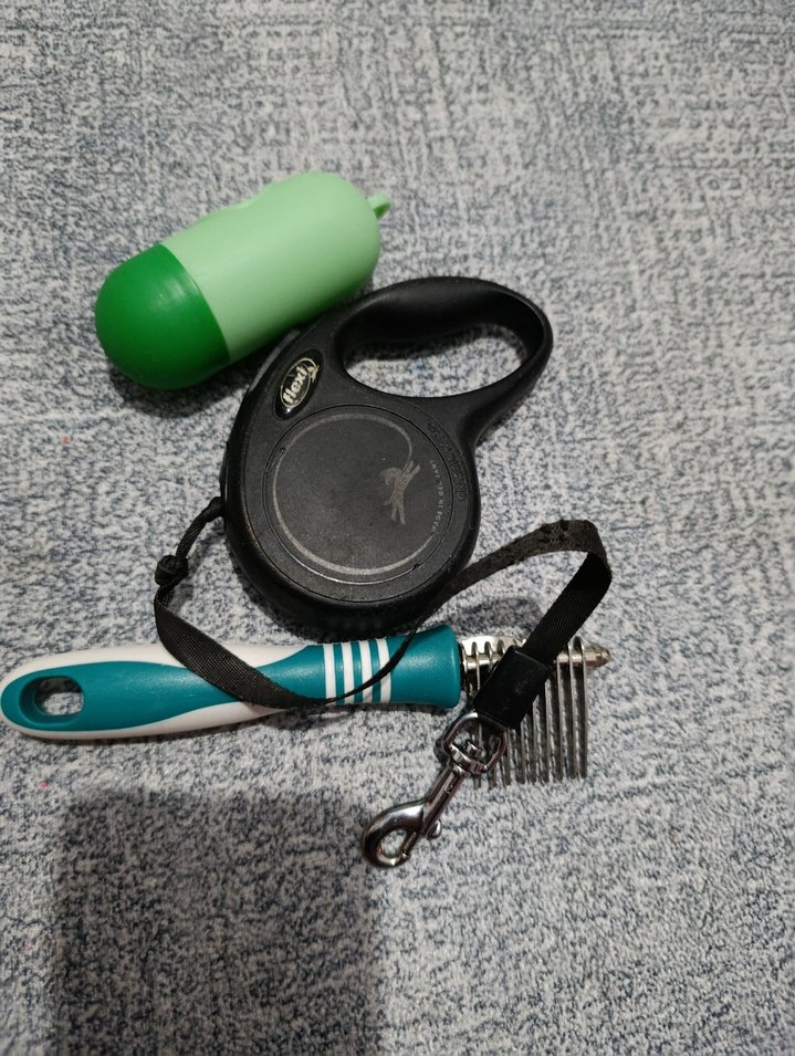 Gri Tasma, Yeşil Poop Torbası ve Tüy Tarağı - Görsel 5